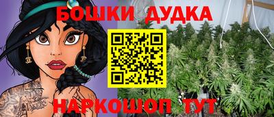 стаф Заводоуковск